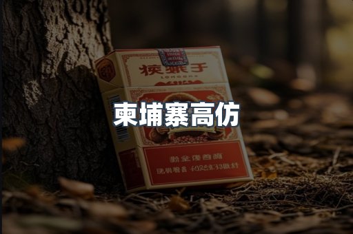 柬埔寨高仿